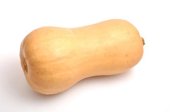 canva butternut squash MADCATbpyiU