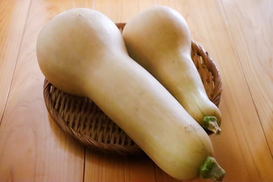 canva butternut squash MAEDMZQQTcs