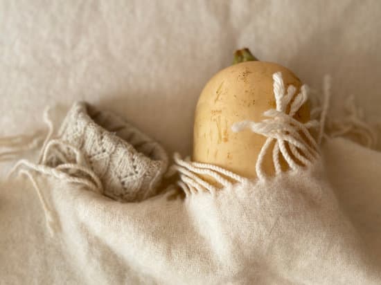 canva butternut squash MAEKSSy dGM