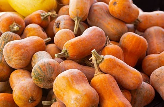 canva butternut squash at a local farmers market MAEC53OMzCQ