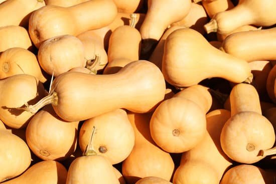 canva butternut squash background MADA RONjBI