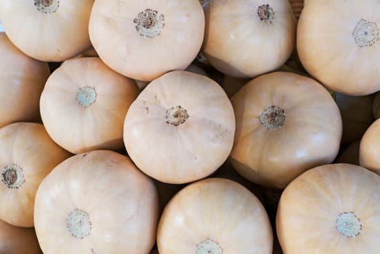 canva butternut squash background MAEEXTswbek