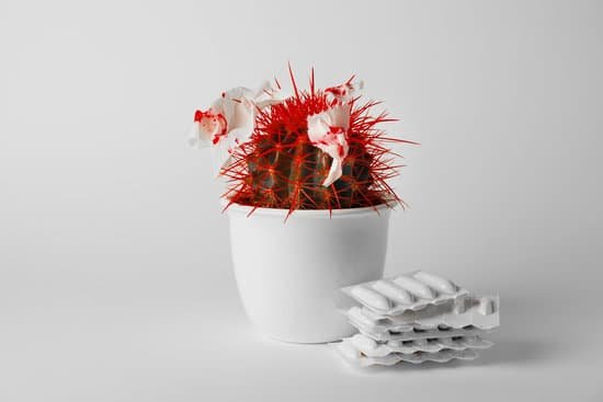 canva cactus with blood on tissue and pile of suppository medicine MAD7NjJh7RY