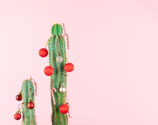 canva cactus with christmas ball decoration MAEMGdKh36o