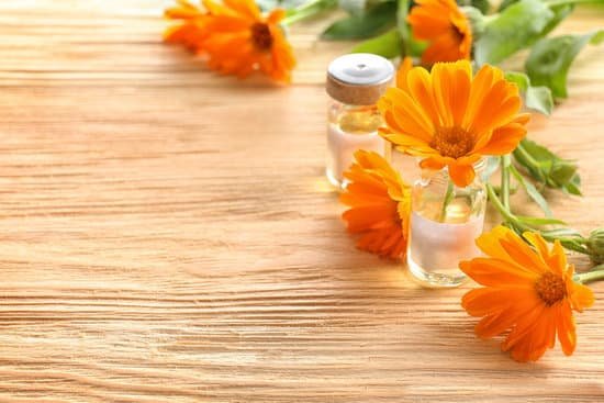 canva calendula flower in glass bottle on wooden background MAD Q5zU6mE