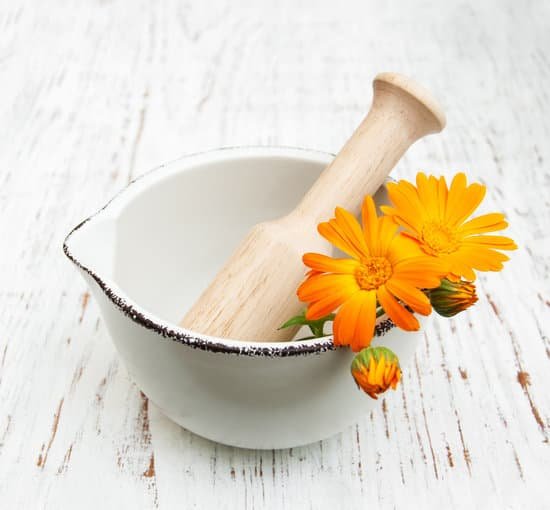canva calendula flowers MAC9IelDjrE