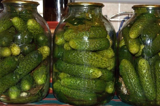 canva canned cucumbers MADCUmJ1544