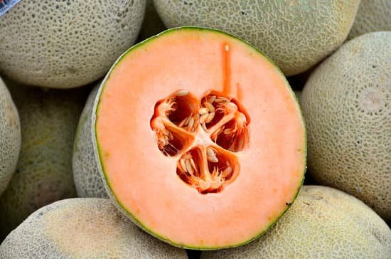 canva cantaloupe