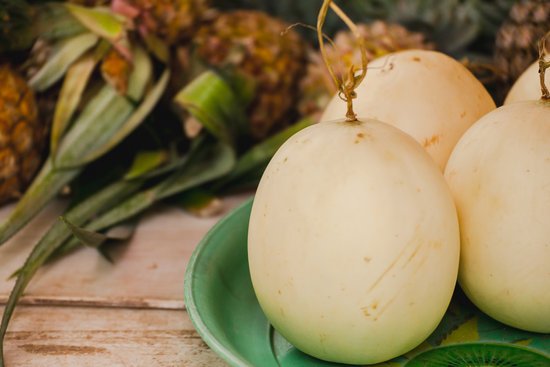 canva cantaloupe MADFE8KLLag