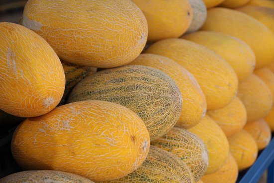 canva cantaloupe MADFICBKwaw