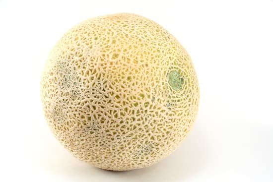 canva cantaloupe MAEE1QG74D0