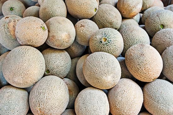 canva cantaloupe MAEETI0feDE