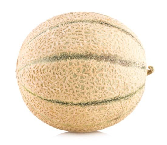 canva cantaloupe melon MAC 9X97FCo