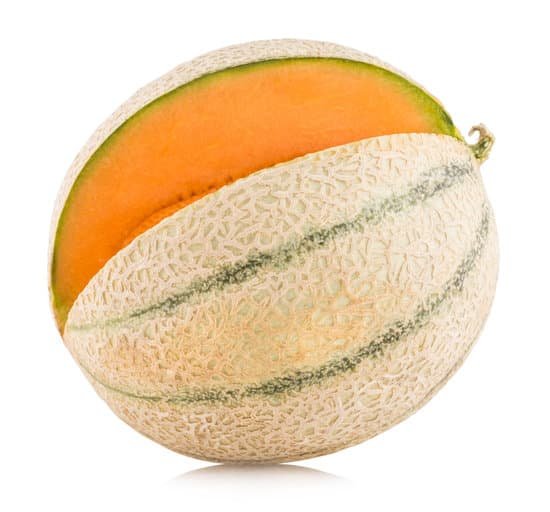 canva cantaloupe melon MAC zn2auLY