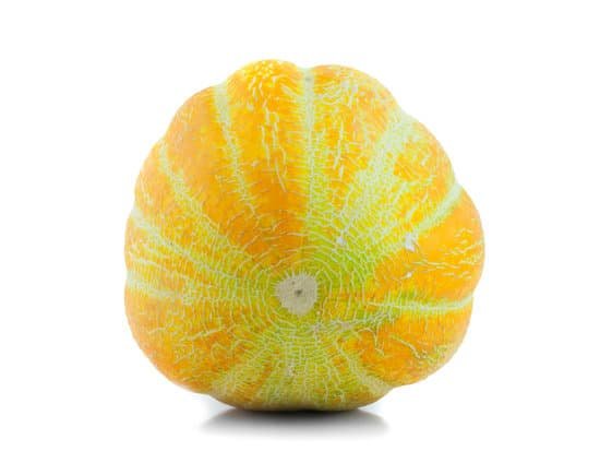 canva cantaloupe melon MADA94Z7FM8