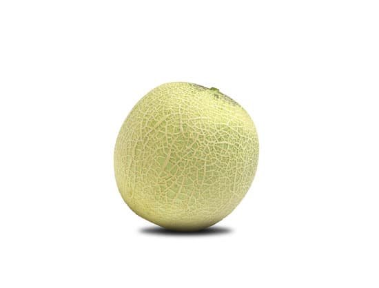 canva cantaloupe melon MADAQw9e01E