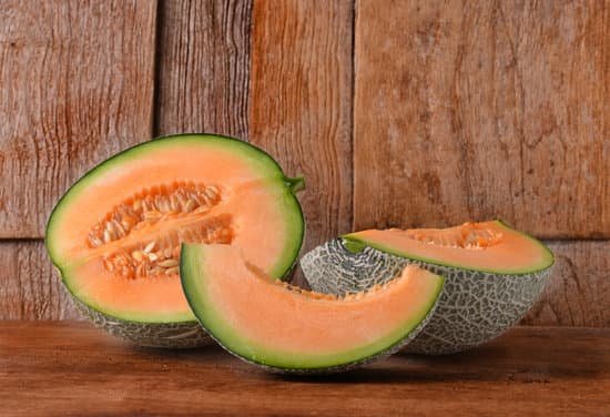 canva cantaloupe melon MADAjYRjJKY
