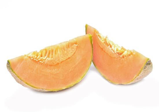 canva cantaloupe melon MADAzSQ jeQ