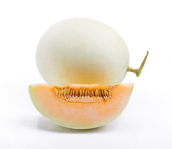 canva cantaloupe melon MADB2it6uzM