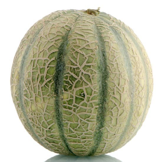 canva cantaloupe melon MADBC4Ylg 8
