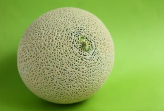 canva cantaloupe melon