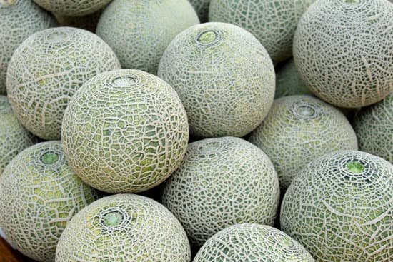 canva cantaloupe melon MADBbV9QhSI