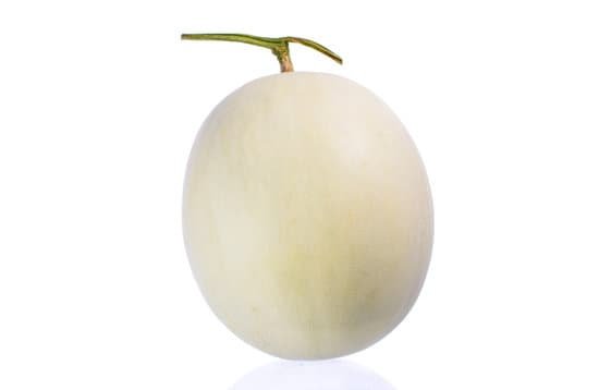 canva cantaloupe melon MADBi5vvKYg