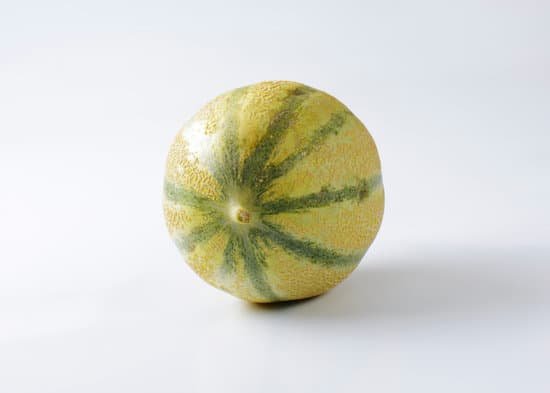 canva cantaloupe melon MADBl8HgI6A
