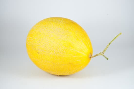 canva cantaloupe melon MADBl8UlJhc