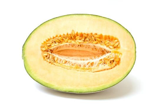 canva cantaloupe melon MADBqrkpYVQ