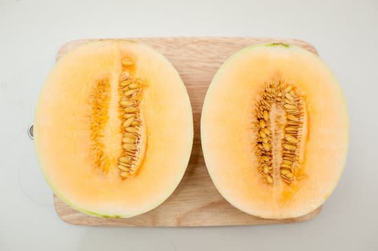 canva cantaloupe melon MADBstyDI6g