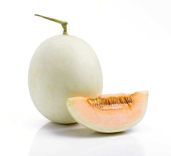 canva cantaloupe melon MADCLBOit40