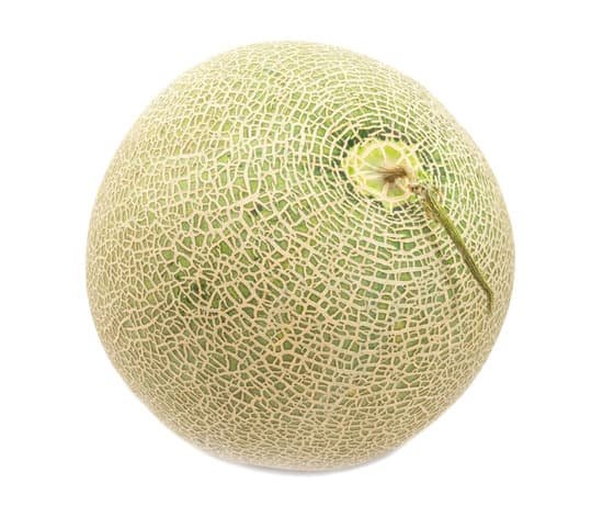 canva cantaloupe melon on white background MADBoVcXA0w