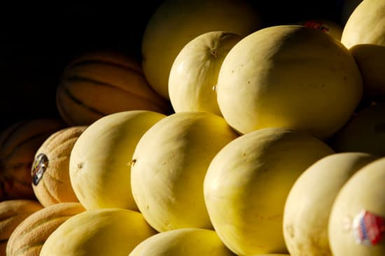 canva cantaloupes MAEE1o fw8M