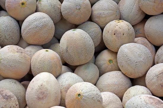 canva cantaloupes MAEEclmReSw