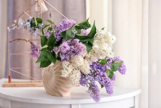 canva ceramic vase with beautiful lilac flowers on wooden table MAD9bCrw0lg