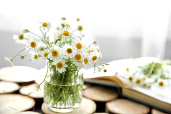 canva chamomile bouquet in glass vase on wooden table MAD Q5YcDwc