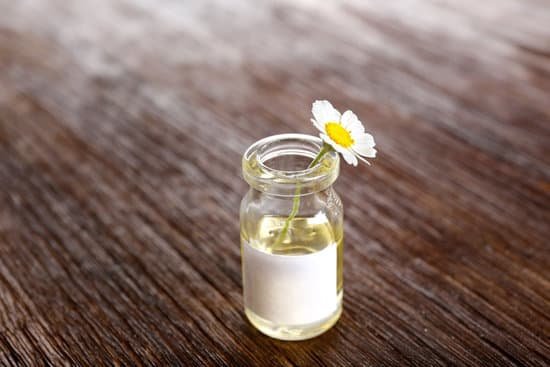 canva chamomile flower in a small bottle MAD Q5 hYa4