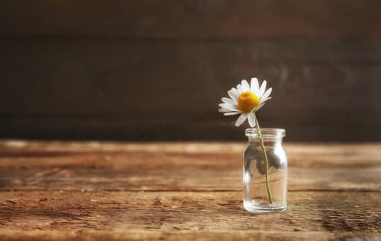 canva chamomile flower in small glass bottle on wooden background MAD