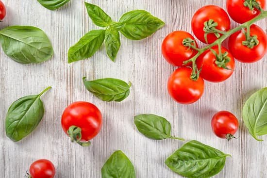 canva cherry tomatoes and basil leaves flatlay MAD9T21Jj9k