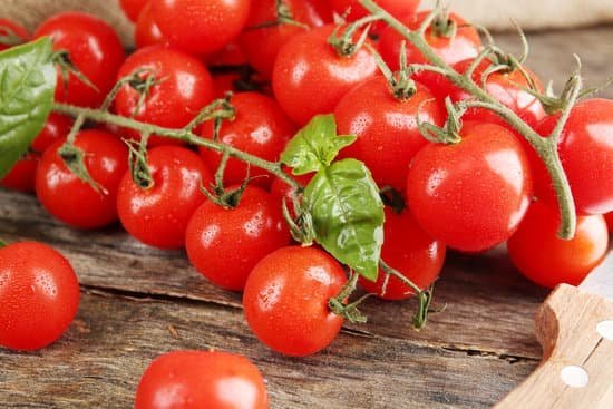 canva cherry tomatoes with basil on wooden table close up MAD MbocE6s