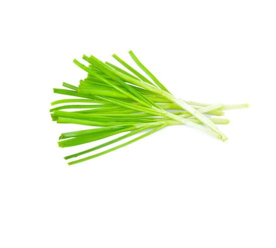 canva chinese chives garlic chives kow choi MADE8c2v8lM