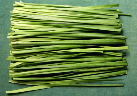 canva chinese garlic chives MAC r dJy40