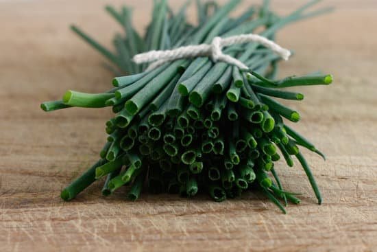 canva chives MAAVBmzw38U