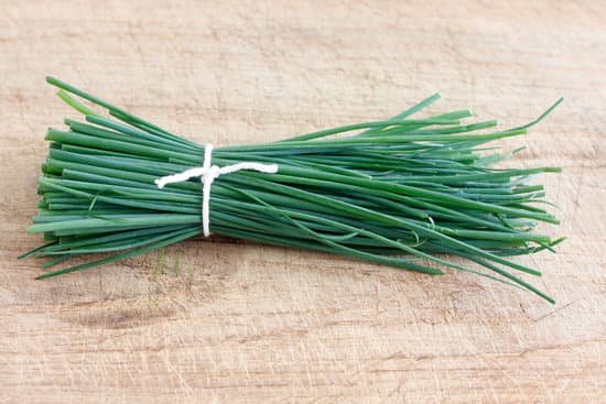 canva chives MAAVBtAWTP8