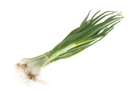 canva chives