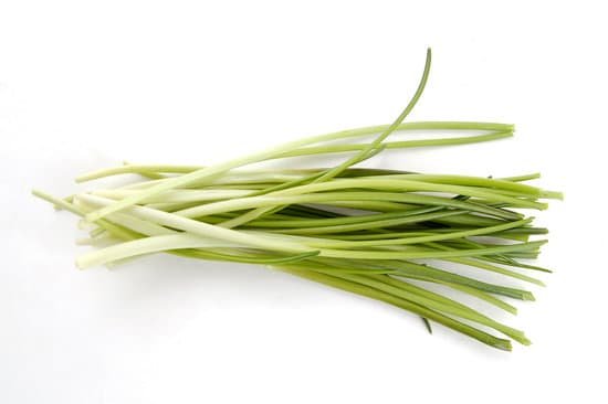 canva chives MAC6jx0i 28