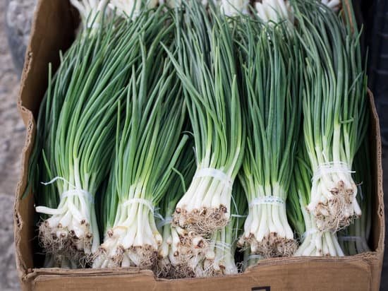 canva chives MAC9kcFURjY