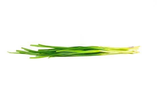 canva chives MADAXMbWILo