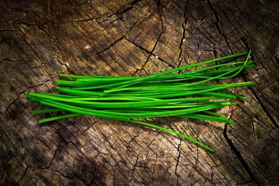 canva chives MADCLOaHJCo